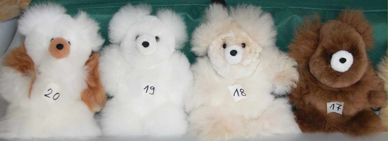 teddybaer alpaca